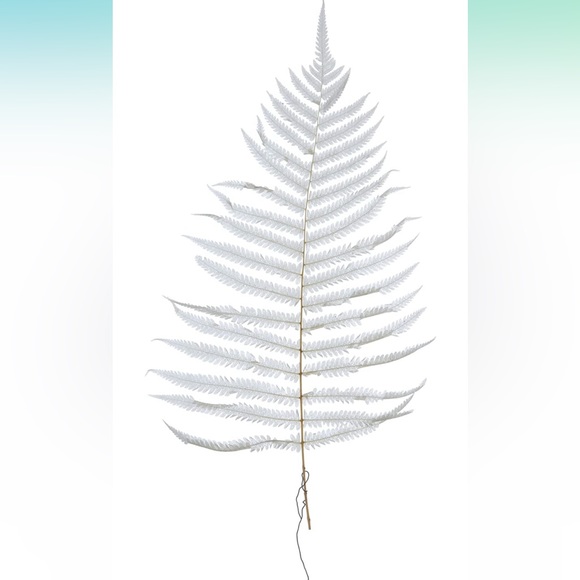 Creative Co Op Dried Cream Fern Bouquet - Picture 9 of 12